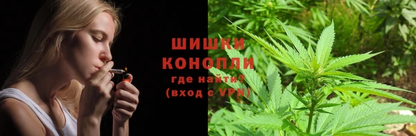 a pvp Белокуриха
