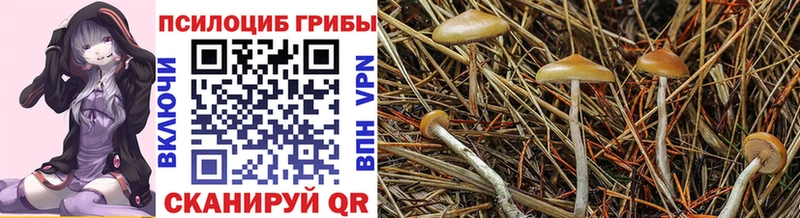 KRAKEN сайт  где купить наркоту  Бодайбо  Галлюциногенные грибы Magic Shrooms 